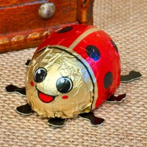 Milk Chocolate Ladybird